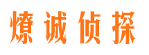 元江市调查公司